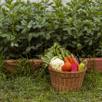 Home and Gardening